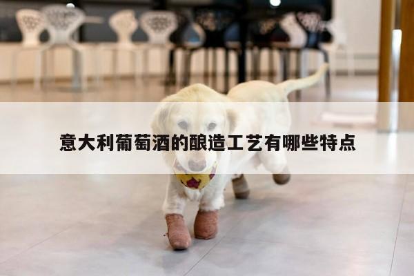 意大利葡萄酒的酿造工艺有哪些特点