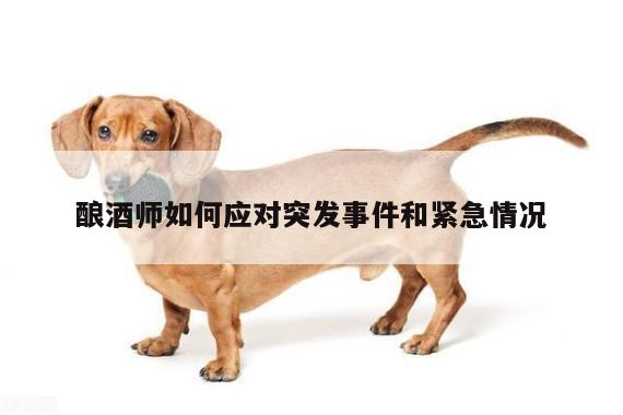 酿酒师如何应对突发事件和紧急情况