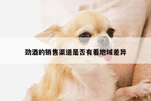 劲酒的销售渠道是否有着地域差异