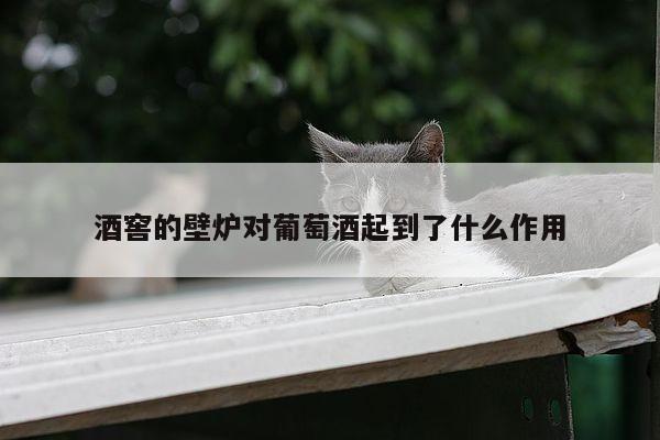 酒窖的壁炉对葡萄酒起到了什么作用