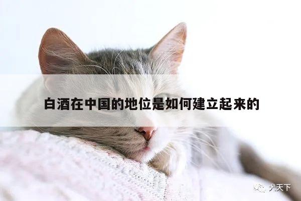 白酒在中国的地位是如何建立起来的