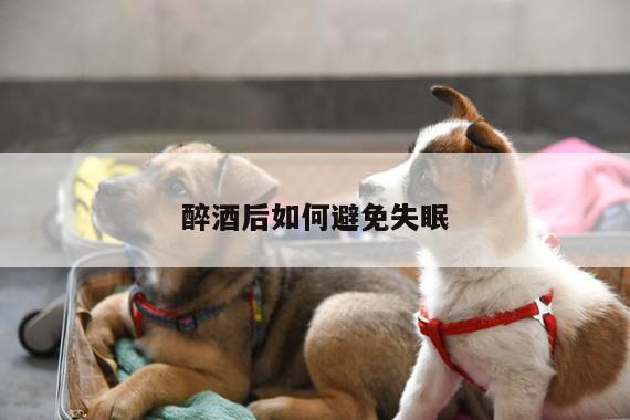 醉酒后如何避免失眠