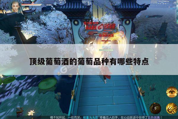 顶级葡萄酒的葡萄品种有哪些特点