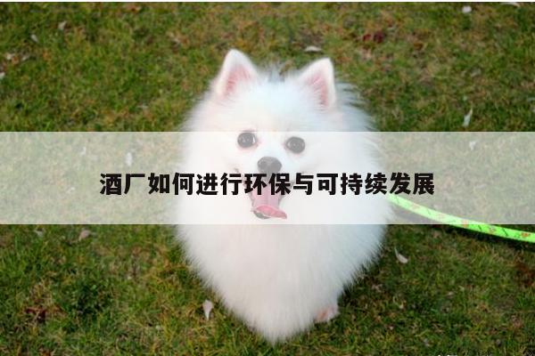 酒厂如何进行环保与可持续发展