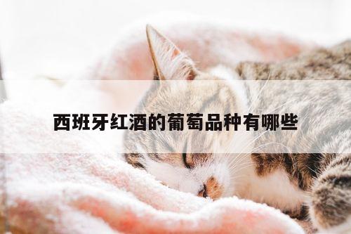 西班牙红酒的葡萄品种有哪些