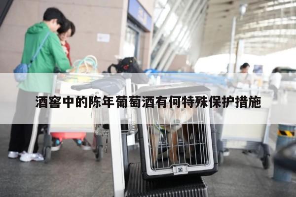 酒窖中的陈年葡萄酒有何特殊保护措施