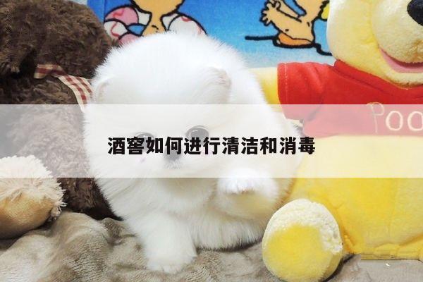 酒窖如何进行清洁和消毒