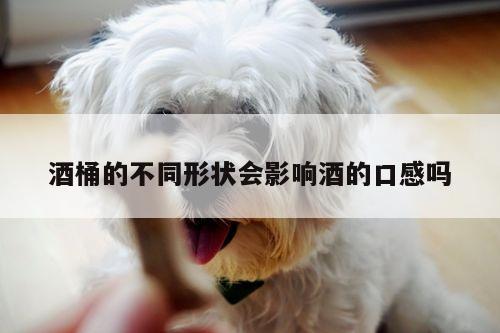 酒桶的不同形状会影响酒的口感吗