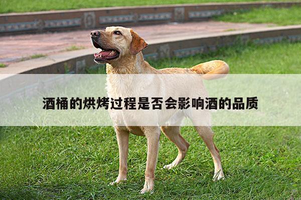 酒桶的烘烤过程是否会影响酒的品质