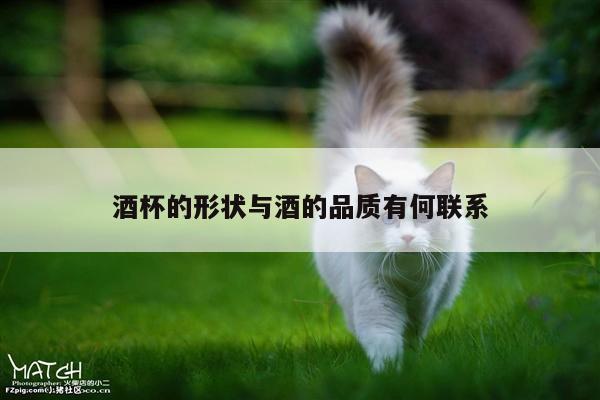 酒杯的形状与酒的品质有何联系