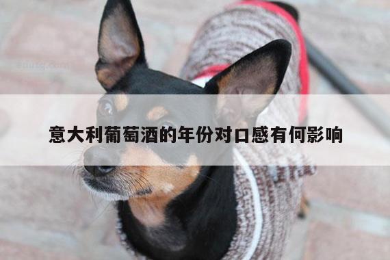 意大利葡萄酒的年份对口感有何影响