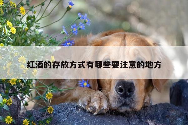 红酒的存放方式有哪些要注意的地方