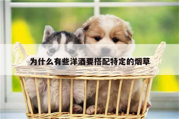 为什么有些洋酒要搭配特定的烟草