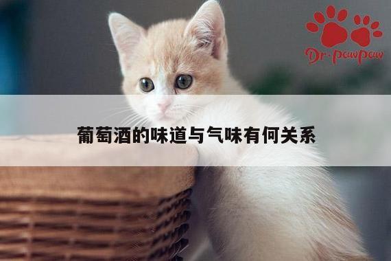 葡萄酒的味道与气味有何关系