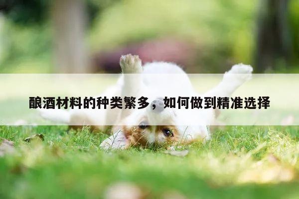 酿酒材料的种类繁多,如何做到精准选择