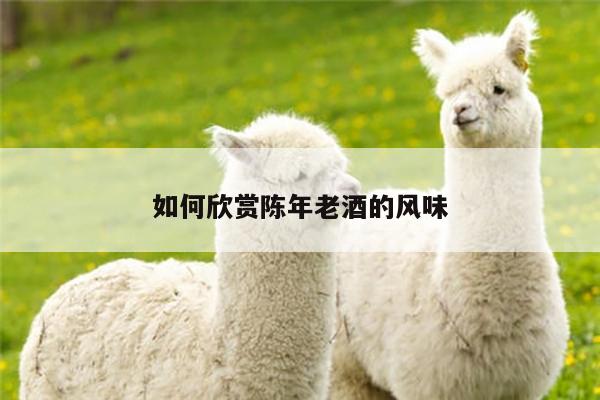 如何欣赏陈年老酒的风味
