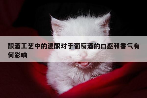 酿酒工艺中的混酿对于葡萄酒的口感和香气有何影响