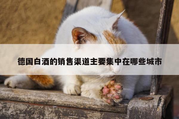 德国白酒的销售渠道主要集中在哪些城市