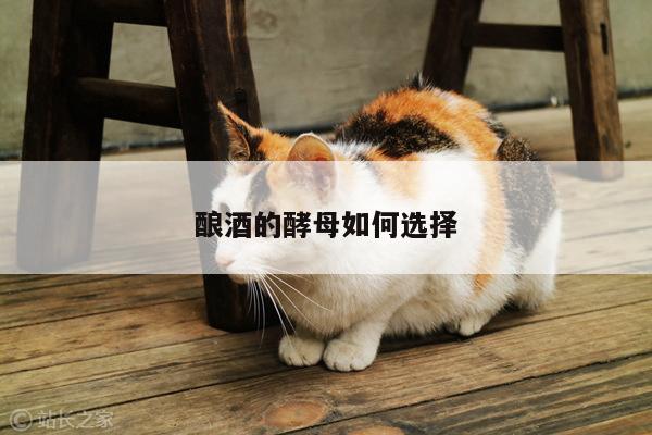 酿酒的酵母如何选择