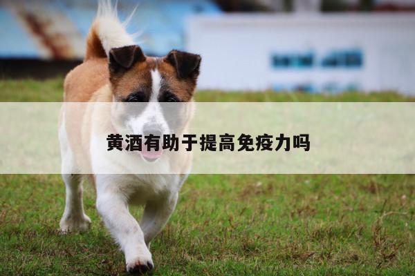 黄酒有助于提高免疫力吗