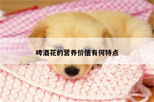 啤酒花的营养价值有何特点