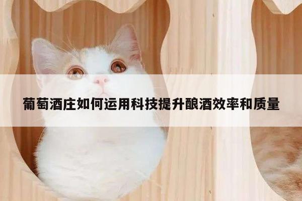 葡萄酒庄如何运用科技提升酿酒效率和质量