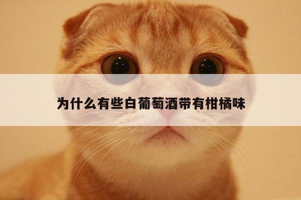 为什么有些白葡萄酒带有柑橘味