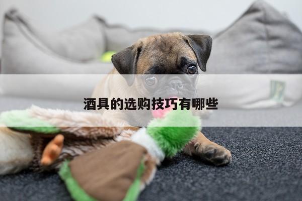 酒具的选购技巧有哪些