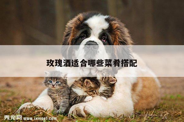 玫瑰酒适合哪些菜肴搭配