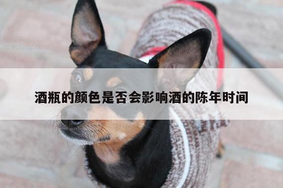 酒瓶的颜色是否会影响酒的陈年时间