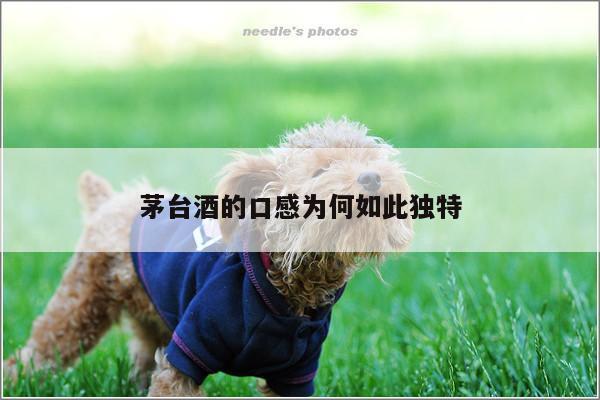 茅台酒的口感为何如此独特