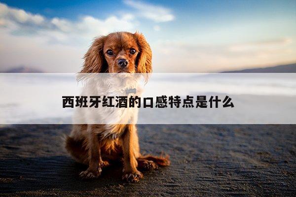 西班牙红酒的口感特点是什么