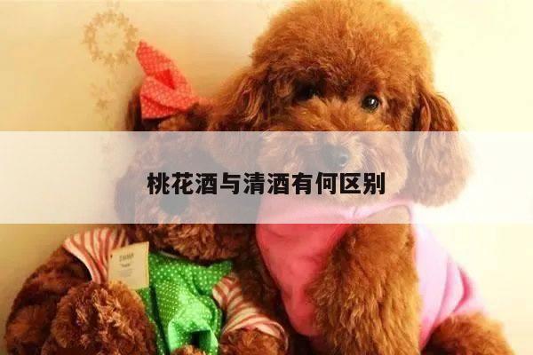 桃花酒与清酒有何区别