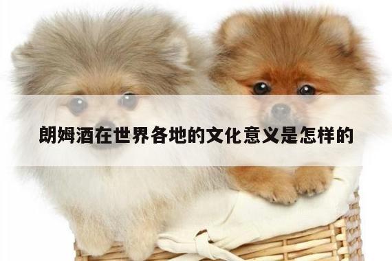 朗姆酒在世界各地的文化意义是怎样的