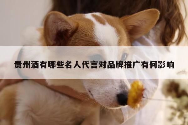 贵州酒有哪些名人代言对品牌推广有何影响