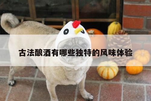 古法酿酒有哪些独特的风味体验