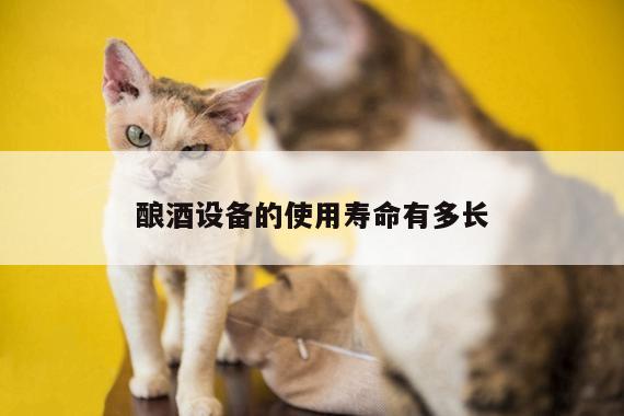 酿酒设备的使用寿命有多长