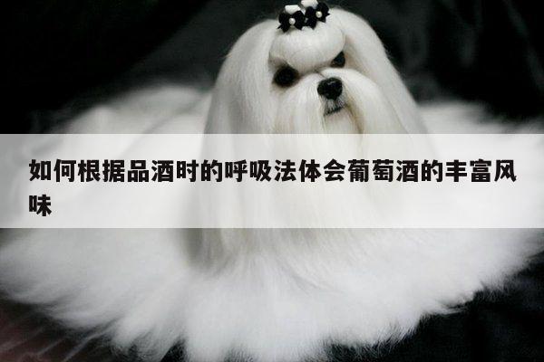 如何根据品酒时的呼吸法体会葡萄酒的丰富风味