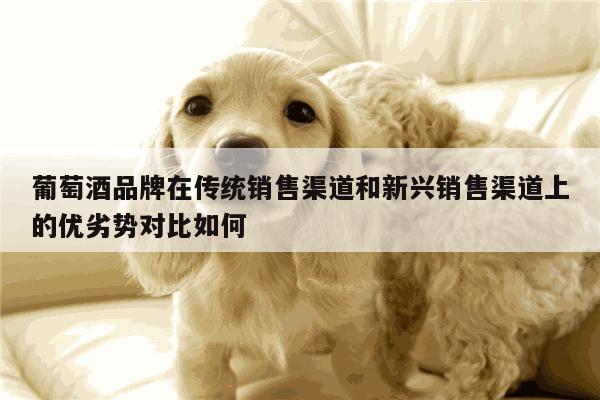葡萄酒品牌在传统销售渠道和新兴销售渠道上的优劣势对比如何