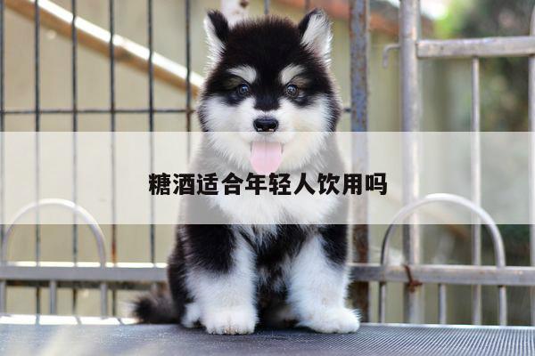 糖酒适合年轻人饮用吗